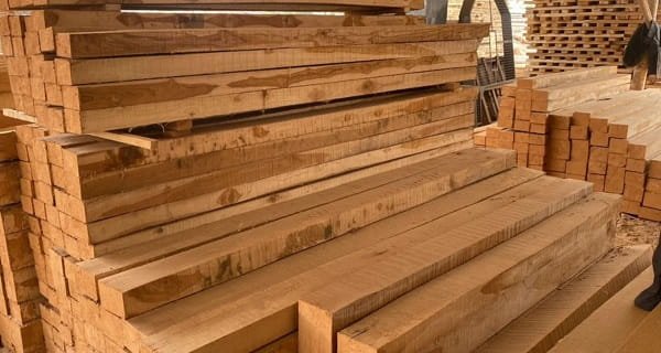 Teak Wood