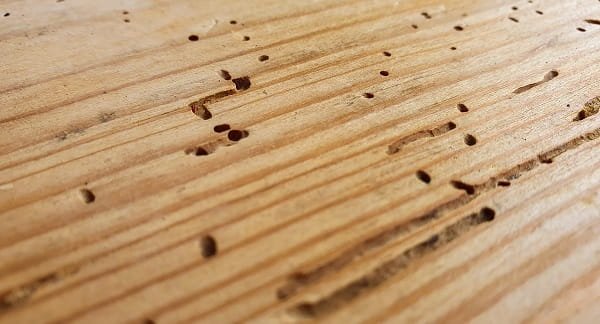 Termites From Wooden Furniture Naturally